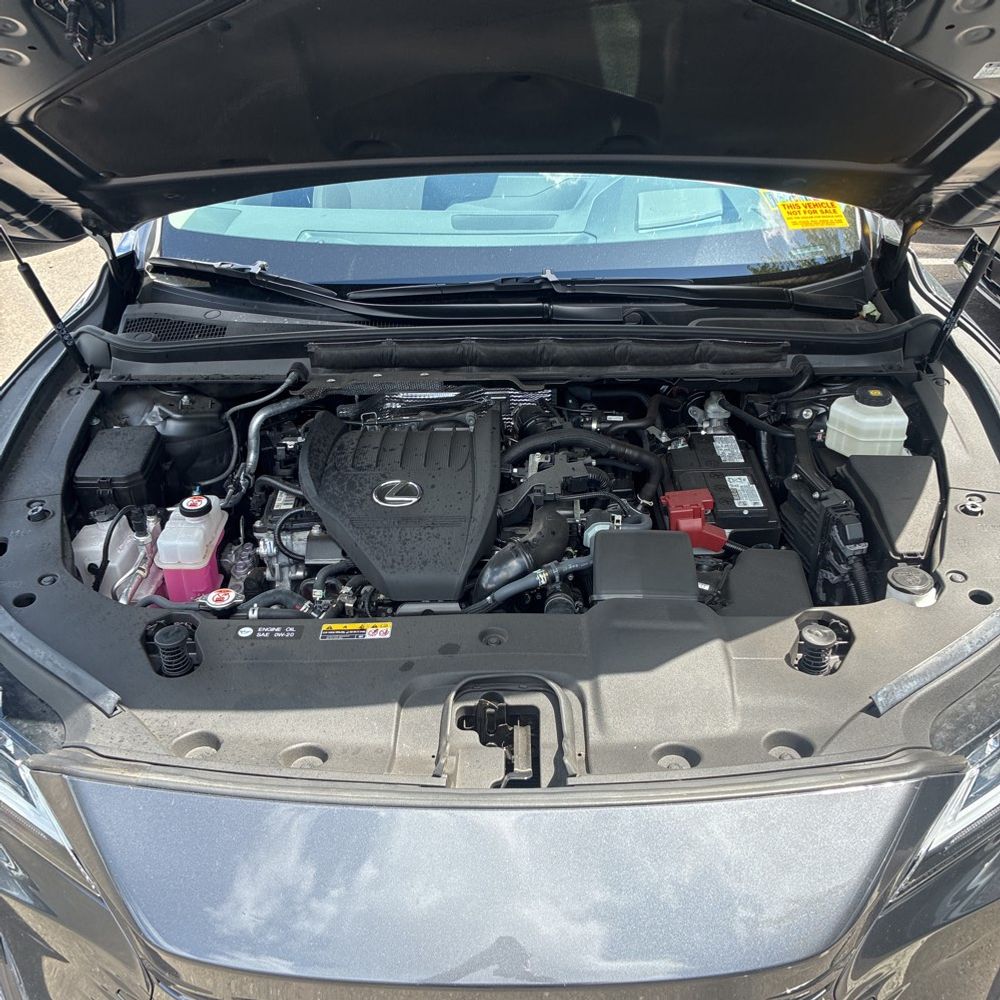 2024 Lexus RX 350 Premium+